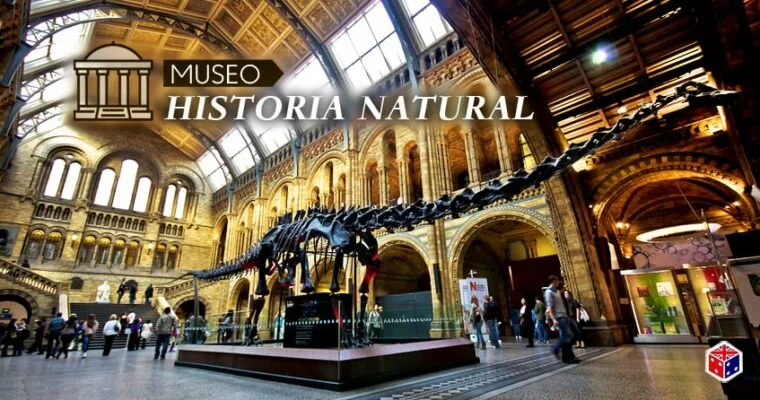 Museo de Historia Natural en Londres: Descubre la fascinante biodiversidad de Inglaterra